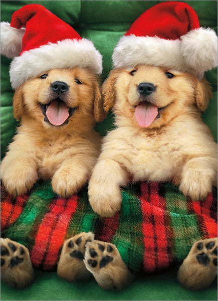 Christmas Greeting Card - Puppies In Christmas Blanket