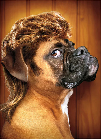Birthday Greeting Card - Dog With Mullet