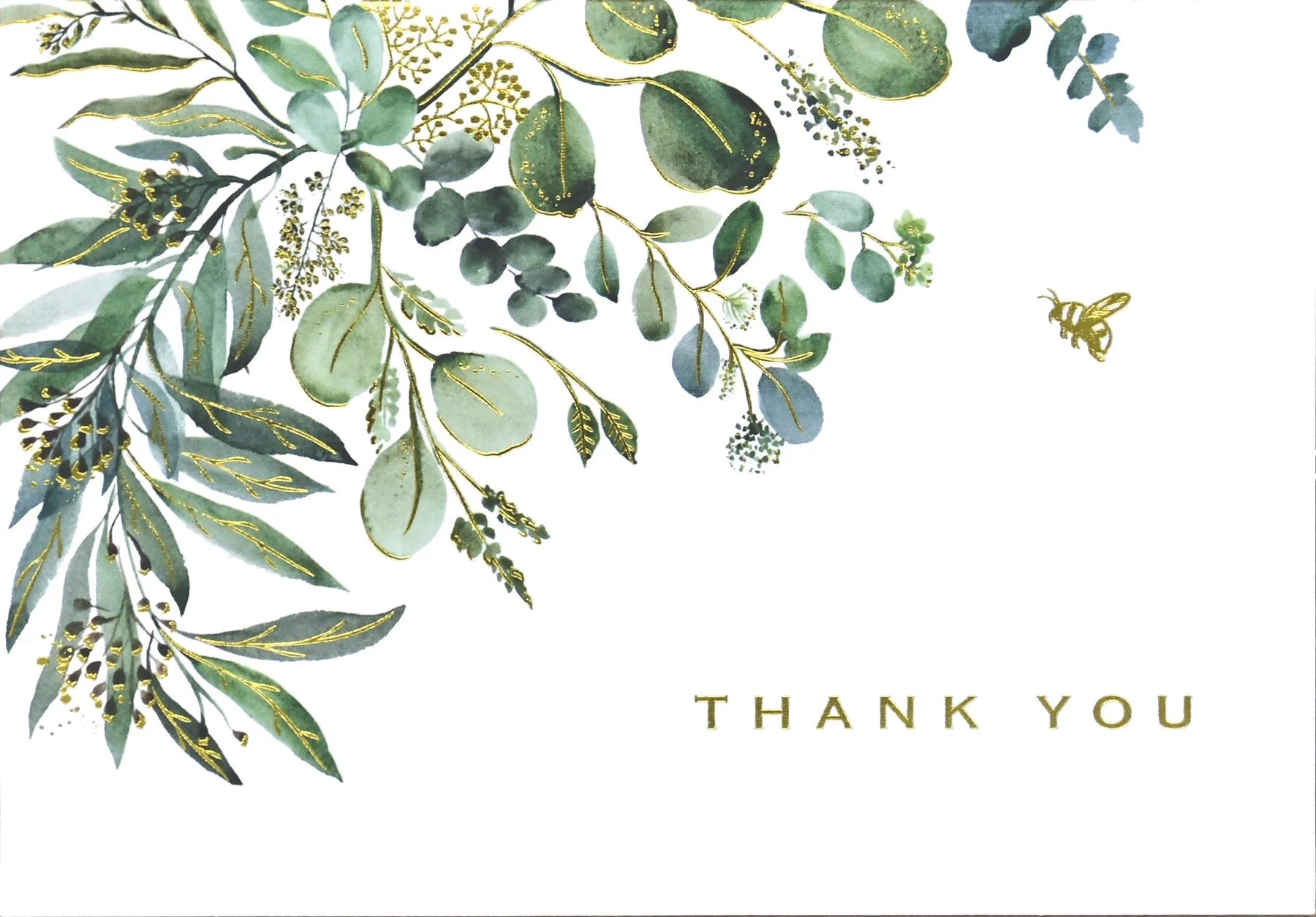 Eucalyptus Thank You Cards - 14 ct.