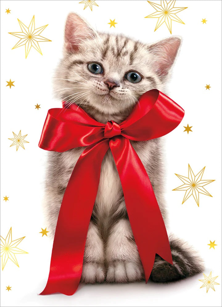 Christmas Greeting Card - Cat Lover - Kitten Wearing Red Bow