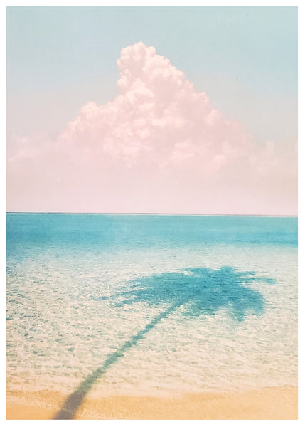 Blank Greeting Card - Palm Tree Shadow
