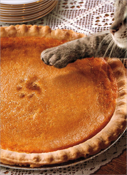 Thanksgiving Greeting Card - Pumpkin Pie Paw Print