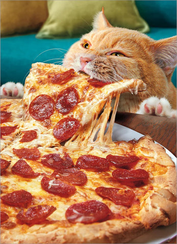 Birthday Greeting Card  - Cat with Whole Pizza