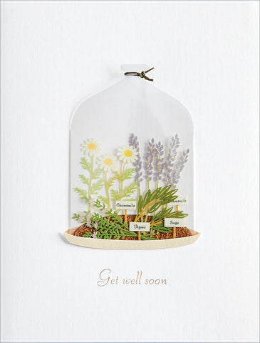 Get Well Greeting Card - Plants In Cloche