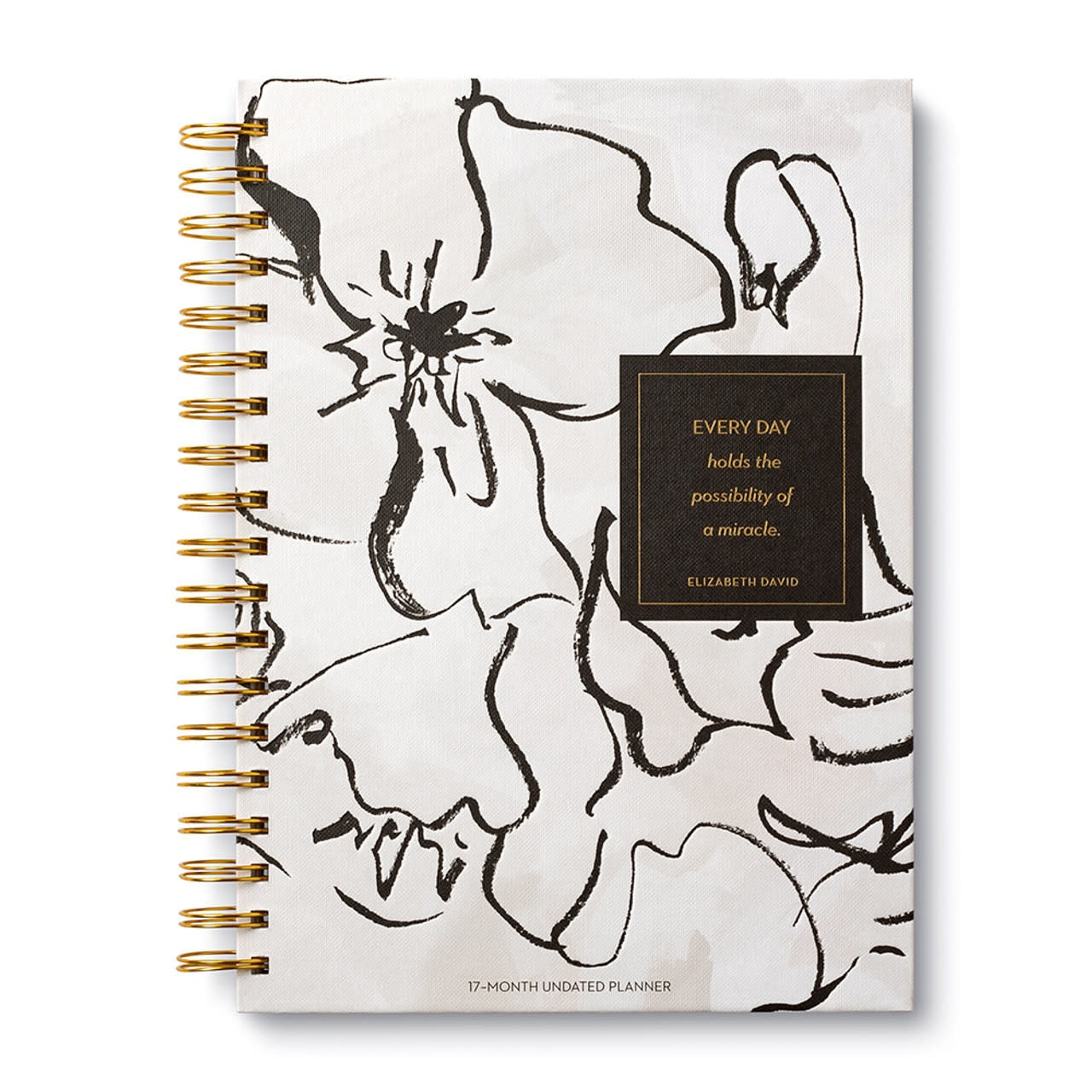 Spiral Notebook - Every Day Holds the Possibility of a Miracle