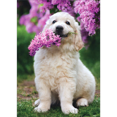 Mother's Day Greeting Card - Dog with Lilacs