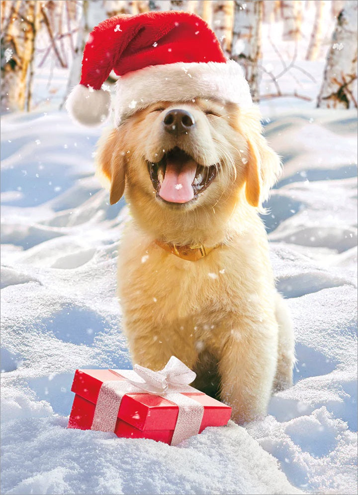 Christmas Greeting Card - Puppy Santa Claus