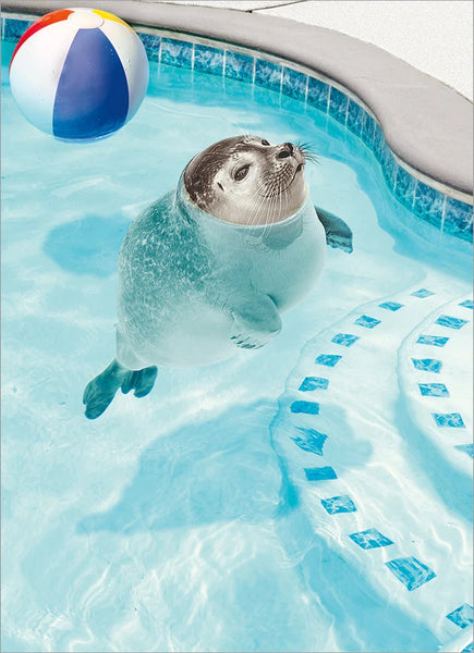 Birthday Greeting Card - Bobbing Seal