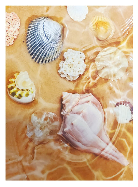 Blank Inside Greeting Card - Seashell Collage