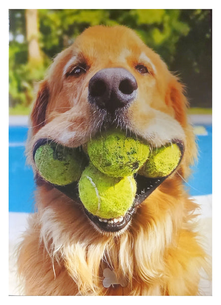 Birthday Greeting Card - Dog With Tennis Balls