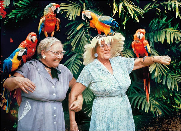 Birthday Greeting Card - Two Ladies with Parrots - America Collection