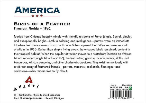 Birthday Greeting Card - Two Ladies with Parrots - America Collection