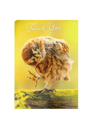 Thank You Greeting Card - Grateful Owl