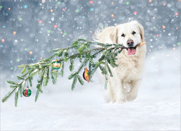 Christmas Greeting Card - Dog Carrying Christmas Tree