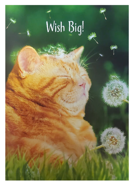 Birthday Greeting Card - Cat Dandelion Fuzz Face