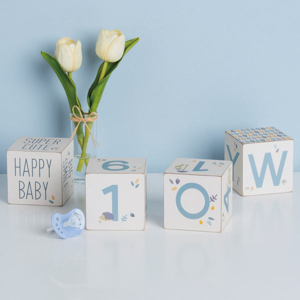 Milestone Baby Blocks - Blue