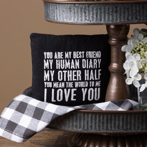 Mini Pillow - You Are My Best Friend