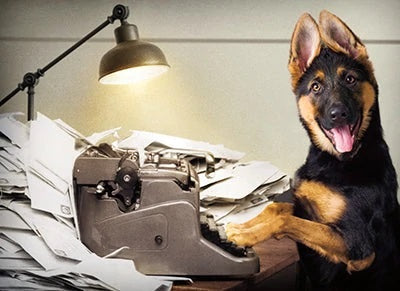 Thank You Greeting Card - Dog at Typewriter