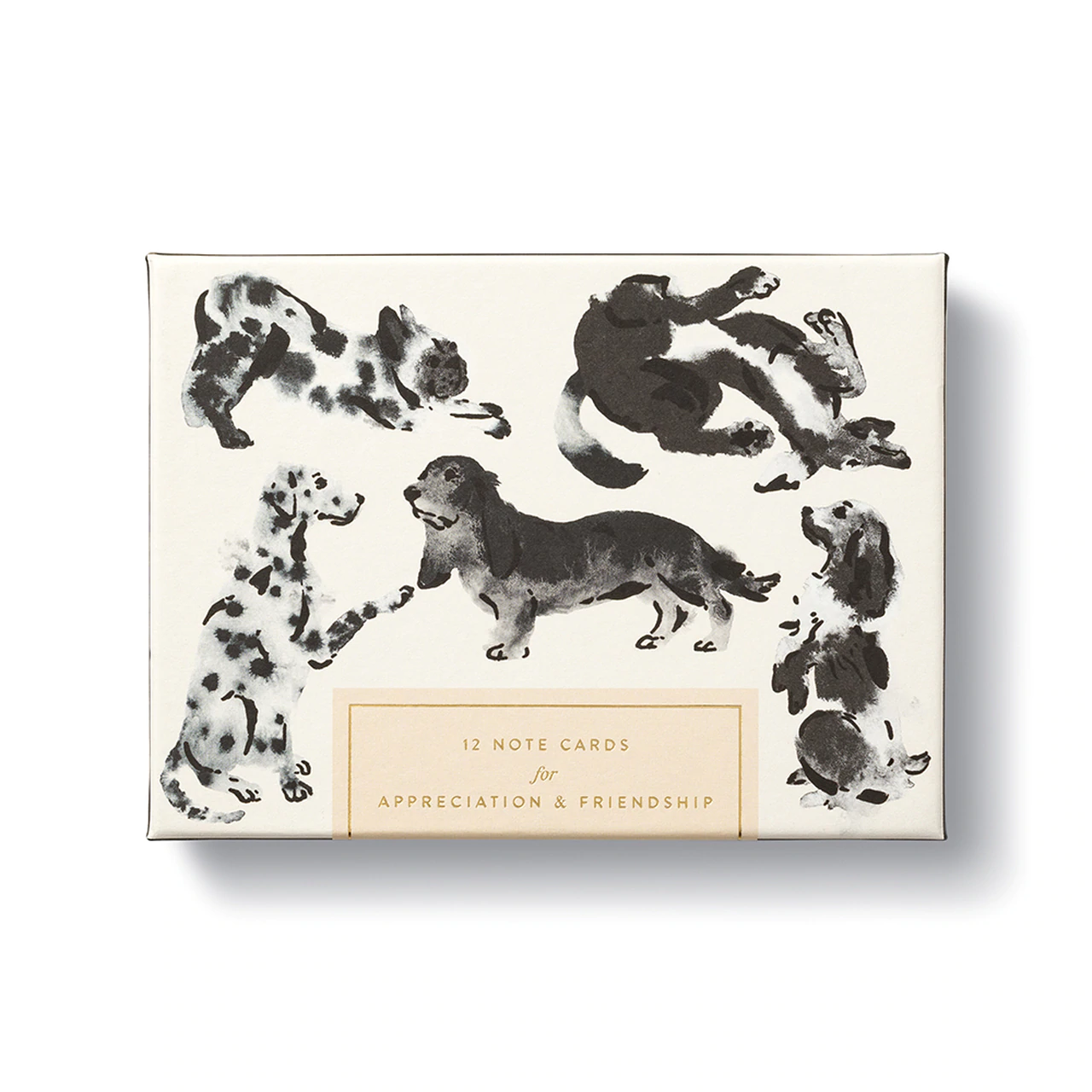 Dog Themed Cards - 12ct Notecards for Appreciation & Friendship