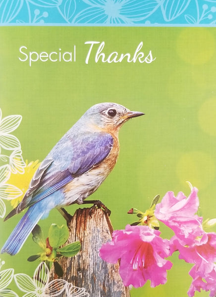 Value Pack Thank You Card Set with Scriptures - 12ct.