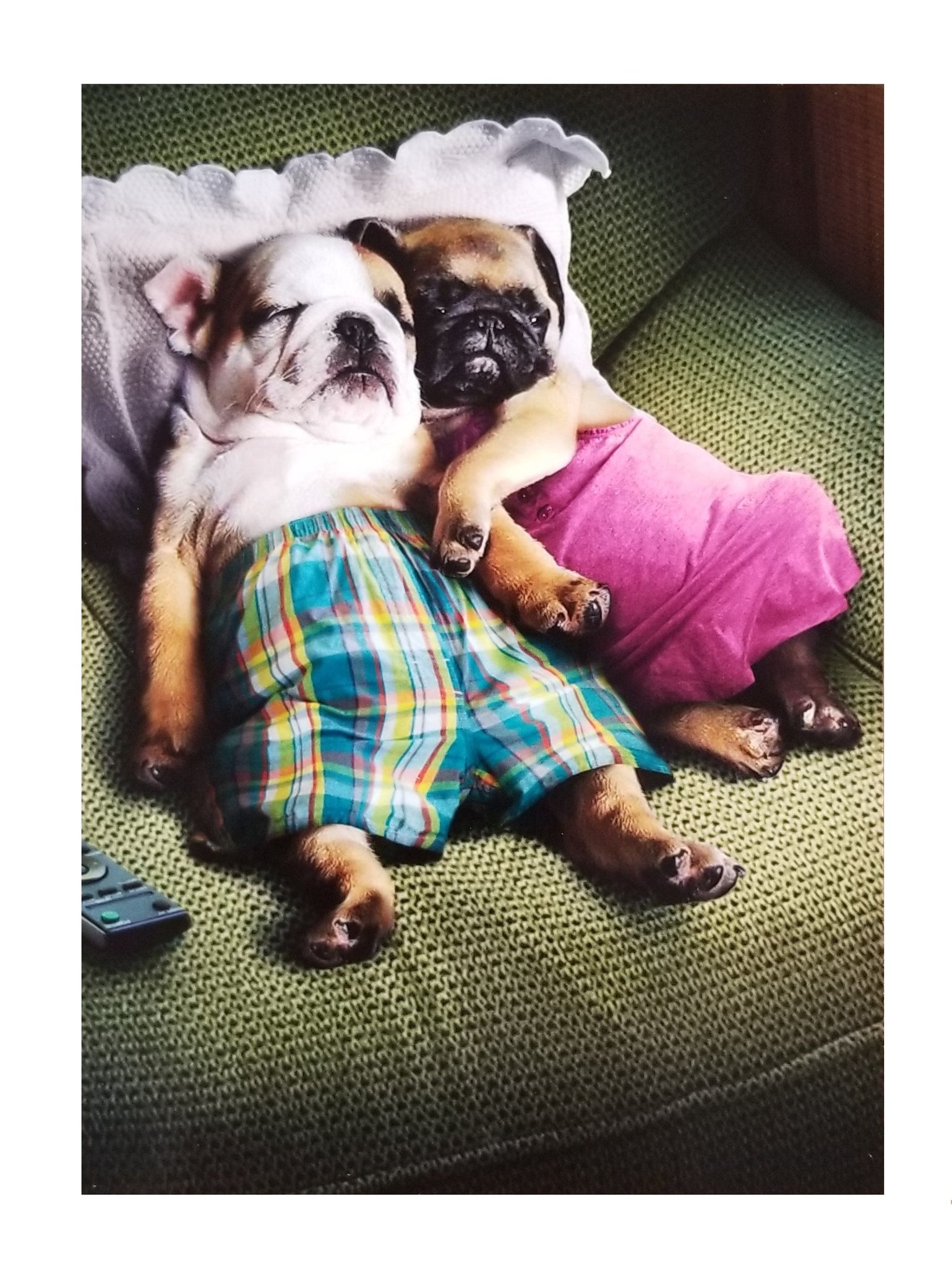 Valentine's Day Greeting Card  - Snoozing Pug Puppies