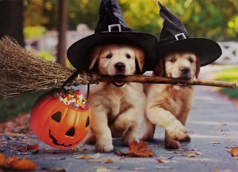 Halloween Greeting Card - Puppies with Broom Stick