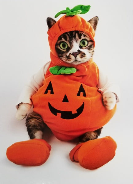 Halloween Greeting Card - Kitten in Pumpkin Costume