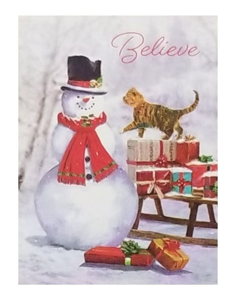 Believe - Premium Boxed Holiday Cards - 18ct.