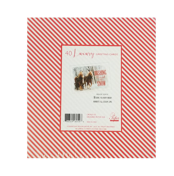 Dashing through the Snow- Luxury Value Pack Holiday Cards - 40ct