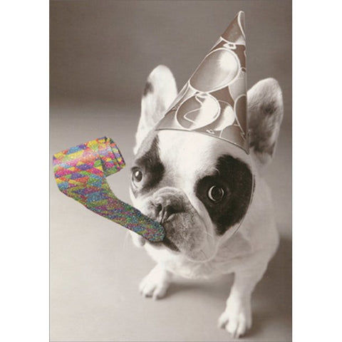 Birthday Greeting Card  - Bulldog with Party Horn