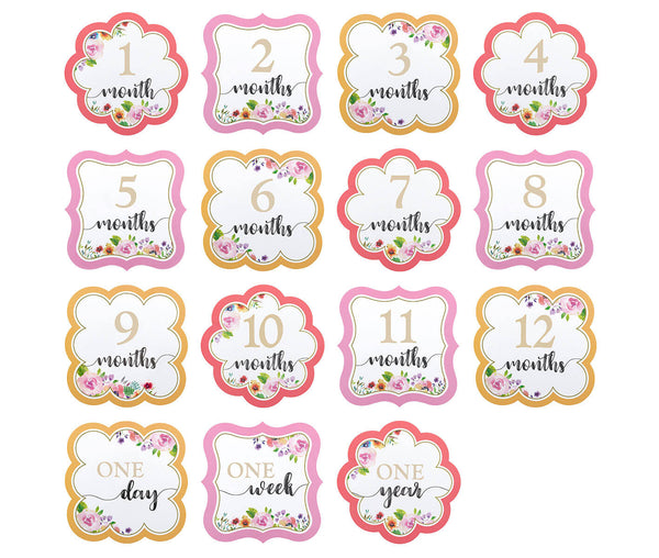 Pink Watercolor Baby Belly Stickers (Set 1-15)
