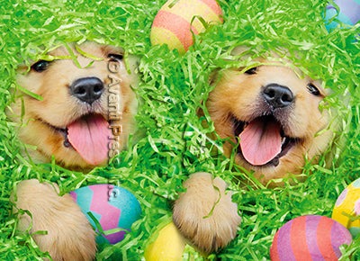 Easter Greeting Card - Puppies in Easter Basket