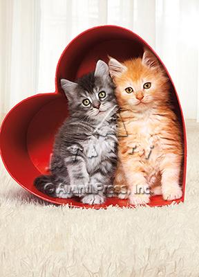 Valentine's Day Greeting Card  - Kitten in Heart Box
