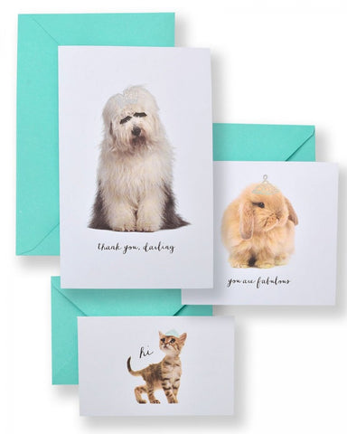 Holographic Crowns Pet Stationery Multi-Sized Cards Boxed Set