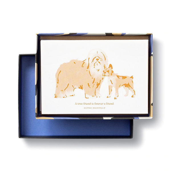 Dog Themed Cards - 12ct Notecards for Appreciation & Friendship