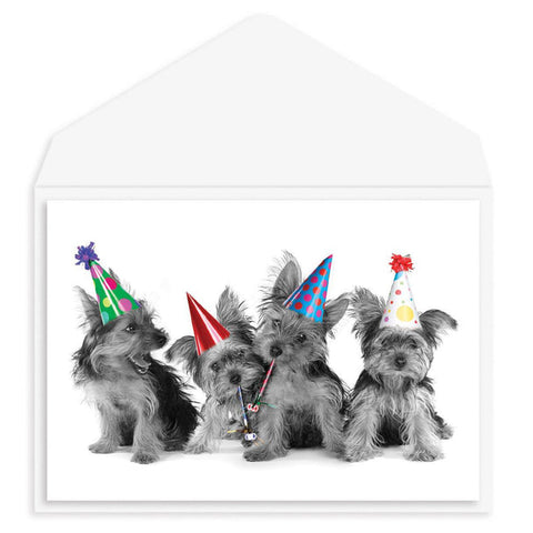 Birthday Greeting Card  - Puppy Party