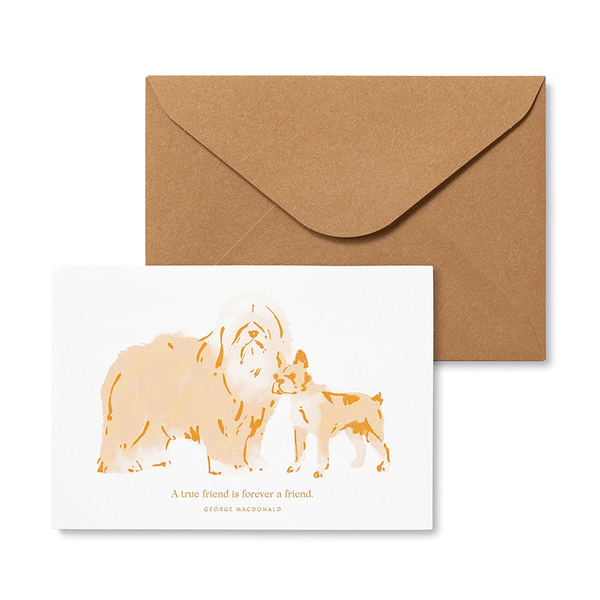 Dog Themed Cards - 12ct Notecards for Appreciation & Friendship