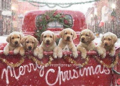 Christmas Greeting Card - Lab Puppy Dogs in Red Truck