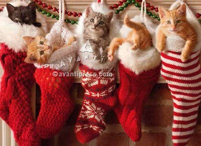 Christmas Greeting Card - Cat Lover - Kittens in Christmas Stocking