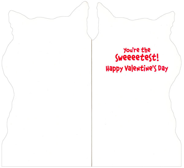 Valentine's Day Greeting Card  - You're the Sweeeetest!