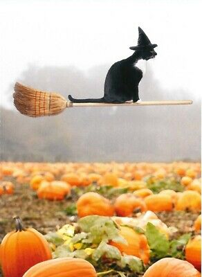 Halloween Greeting Card - Kitten on Broom