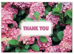 Thank You Cards - Pink Hydrangeas - 8 ct