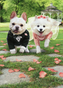 Wedding Greeting Card  - Bride and Groom Dogs