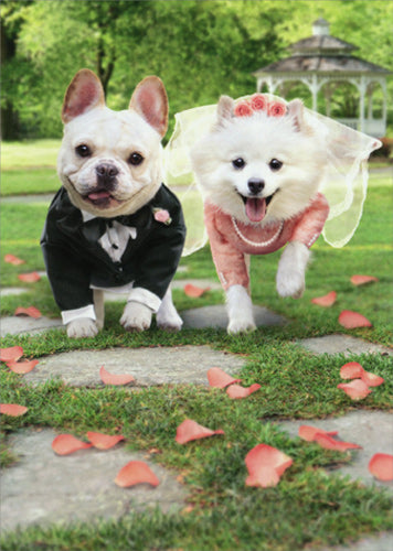 Wedding Greeting Card  - Bride and Groom Dogs