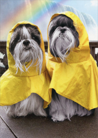 Anniversary Greeting Card  - Rain Poncho Dogs
