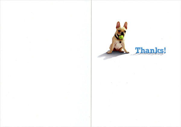 Thank You Greeting Card - Frenchie finds Ball