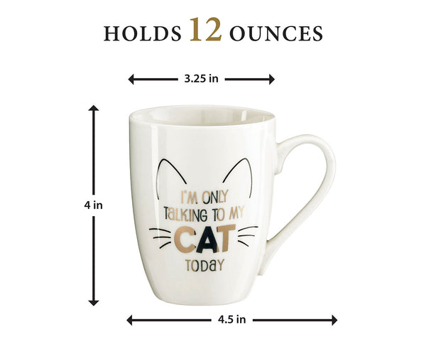 Ceramic Mug - I'm Only Talking To My Cat Today - Cat Lovers