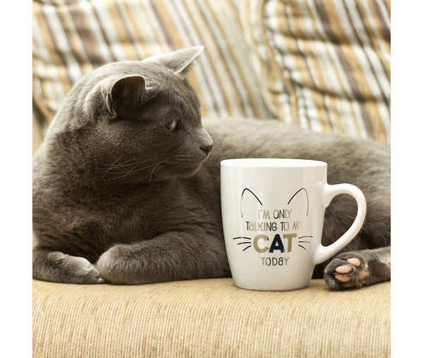 Ceramic Mug - I'm Only Talking To My Cat Today - Cat Lovers