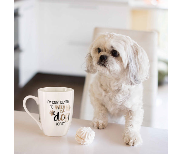 Ceramic Mug - I'm Only Talking To My Dog Today - Dog Lovers