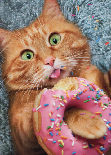 Birthday Greeting Card  - Cat Eating Donut